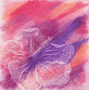 Pink pastel relief of a flower