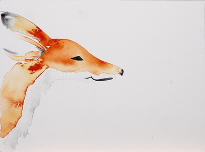 A loose water color painting of a fox peaking in through the left side of the paper