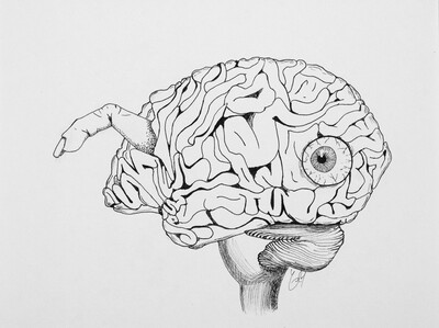Ink drawing of body parts sticking out of a brain