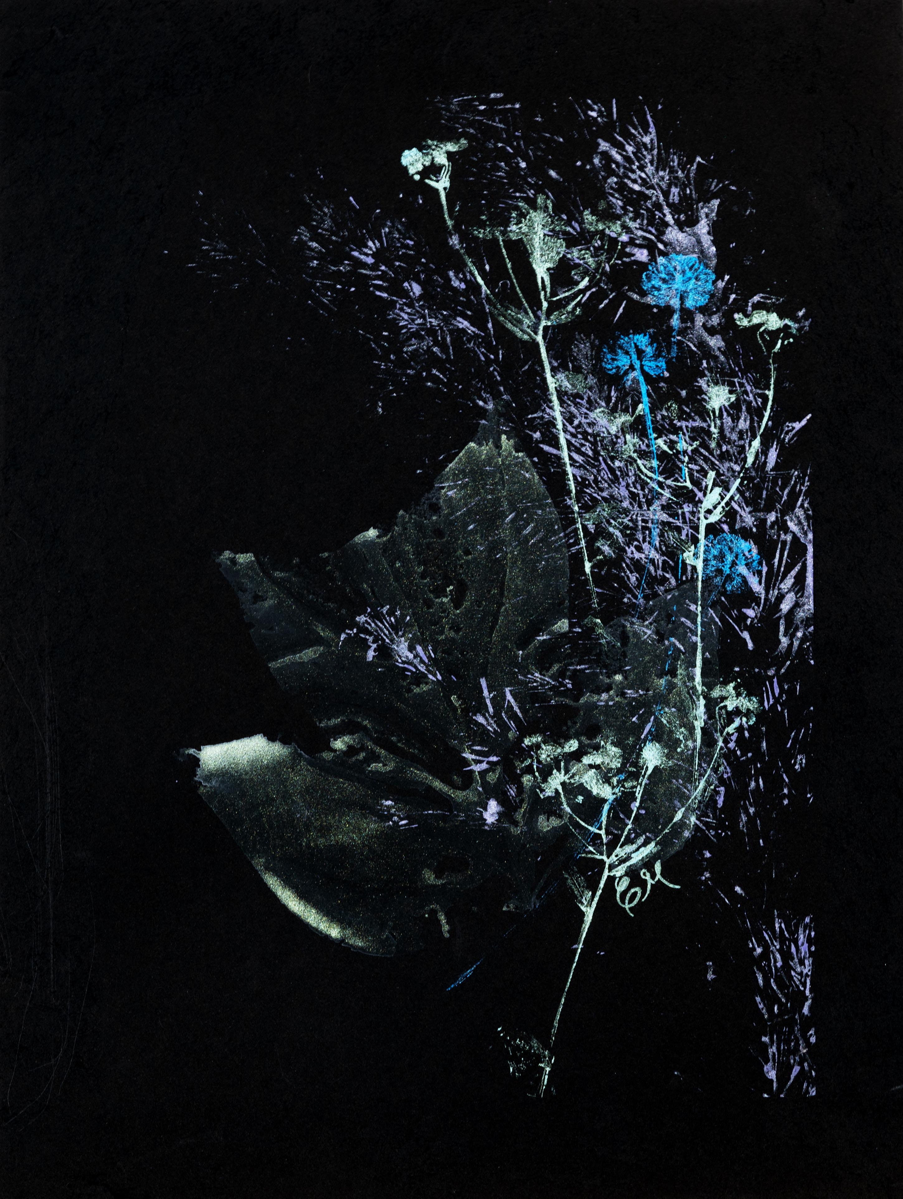 Shimmering water color plant markings on a black background