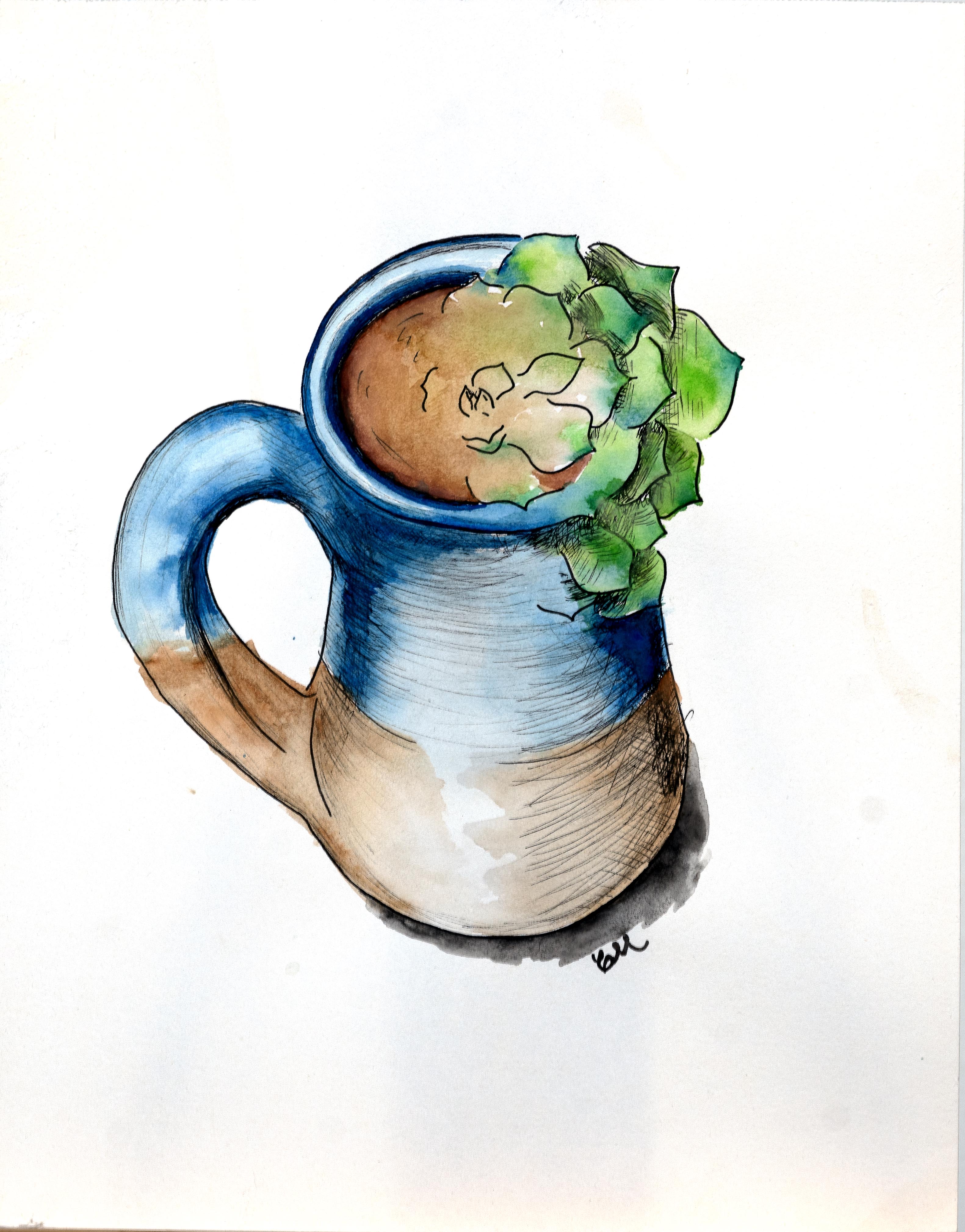 Multimedia depiction of a succulent morphing into a cup
