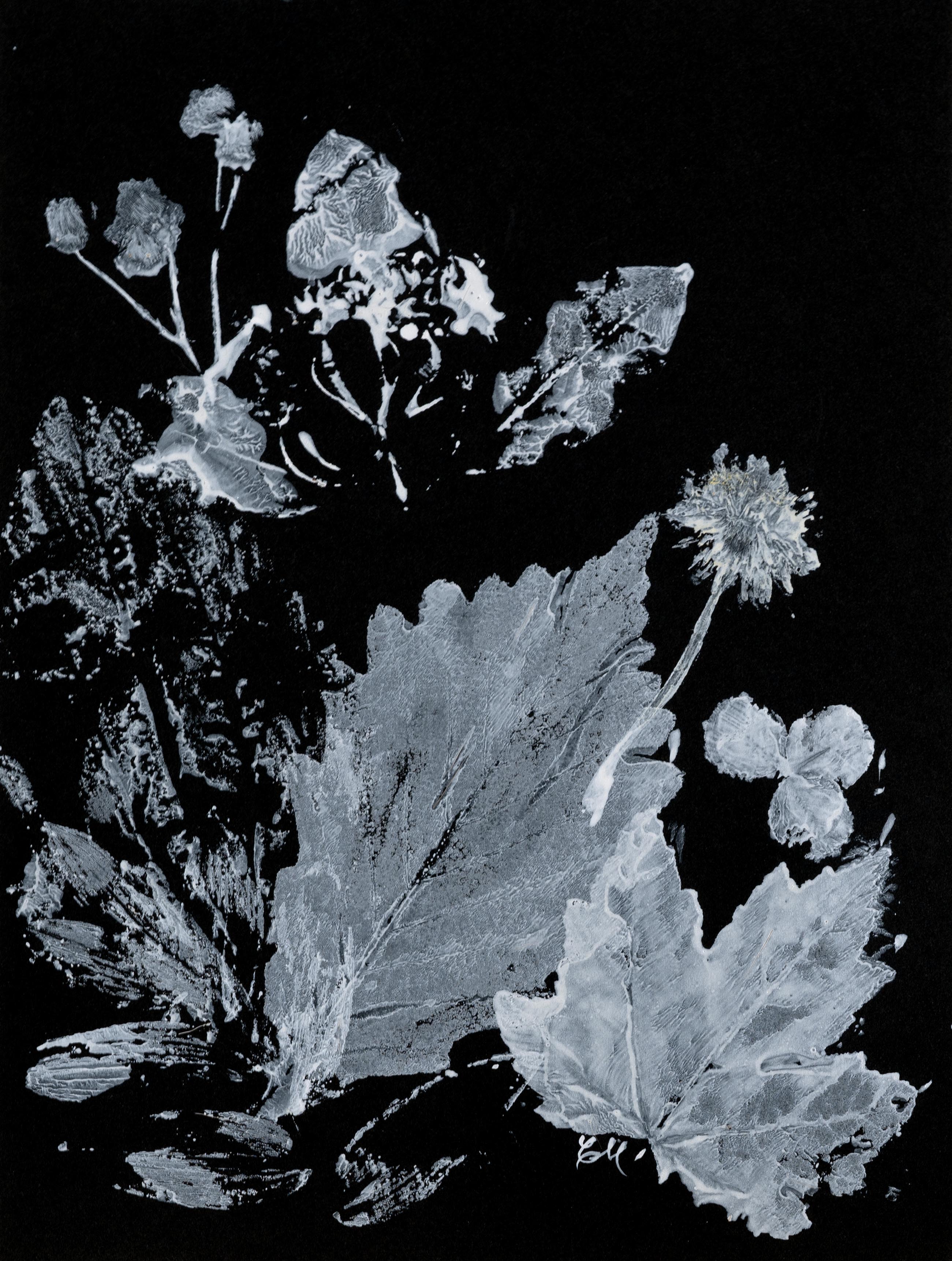 White ink and plants create an abstract piece