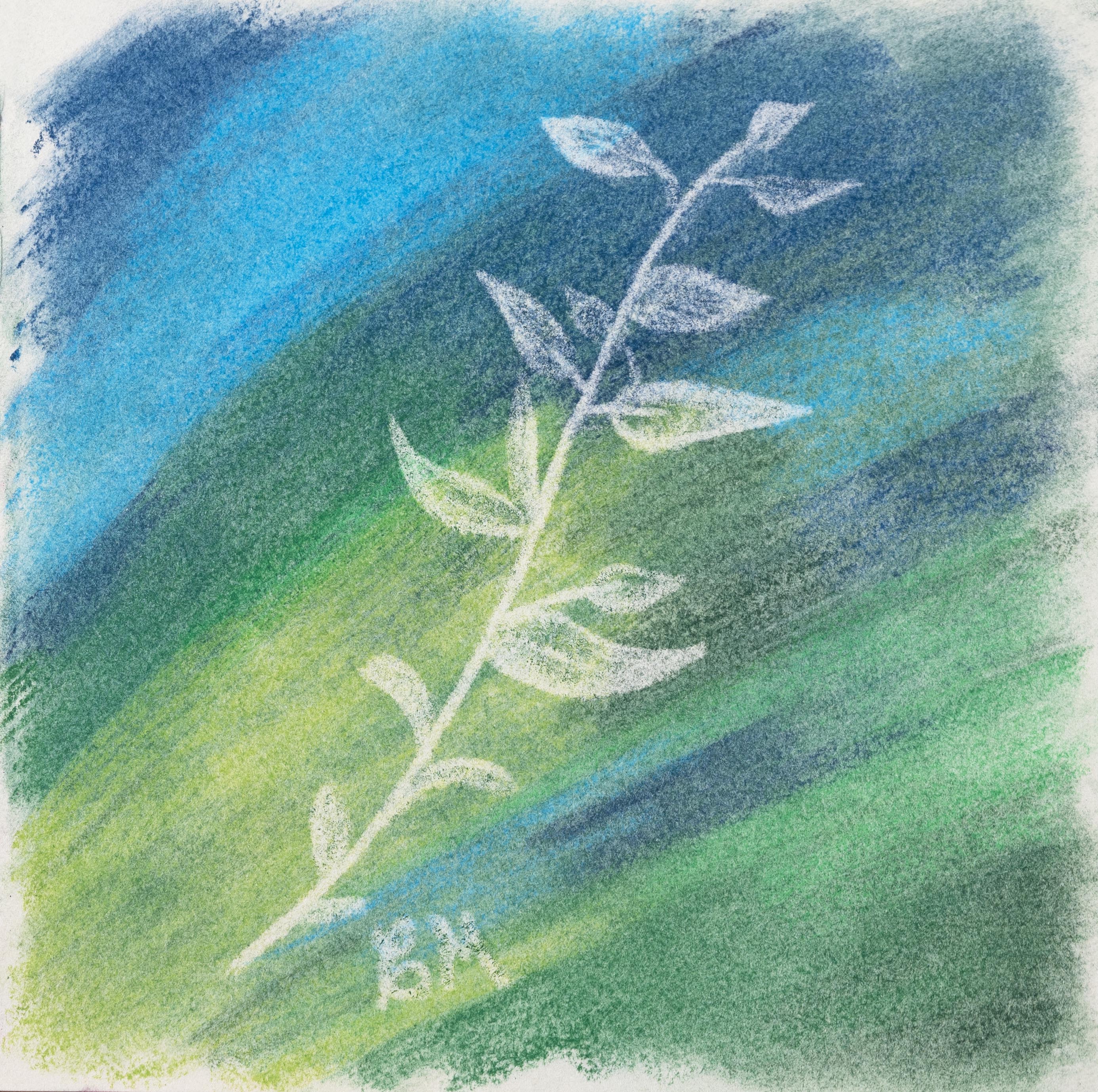 Green and blue soft pastel relief drawing of a plant