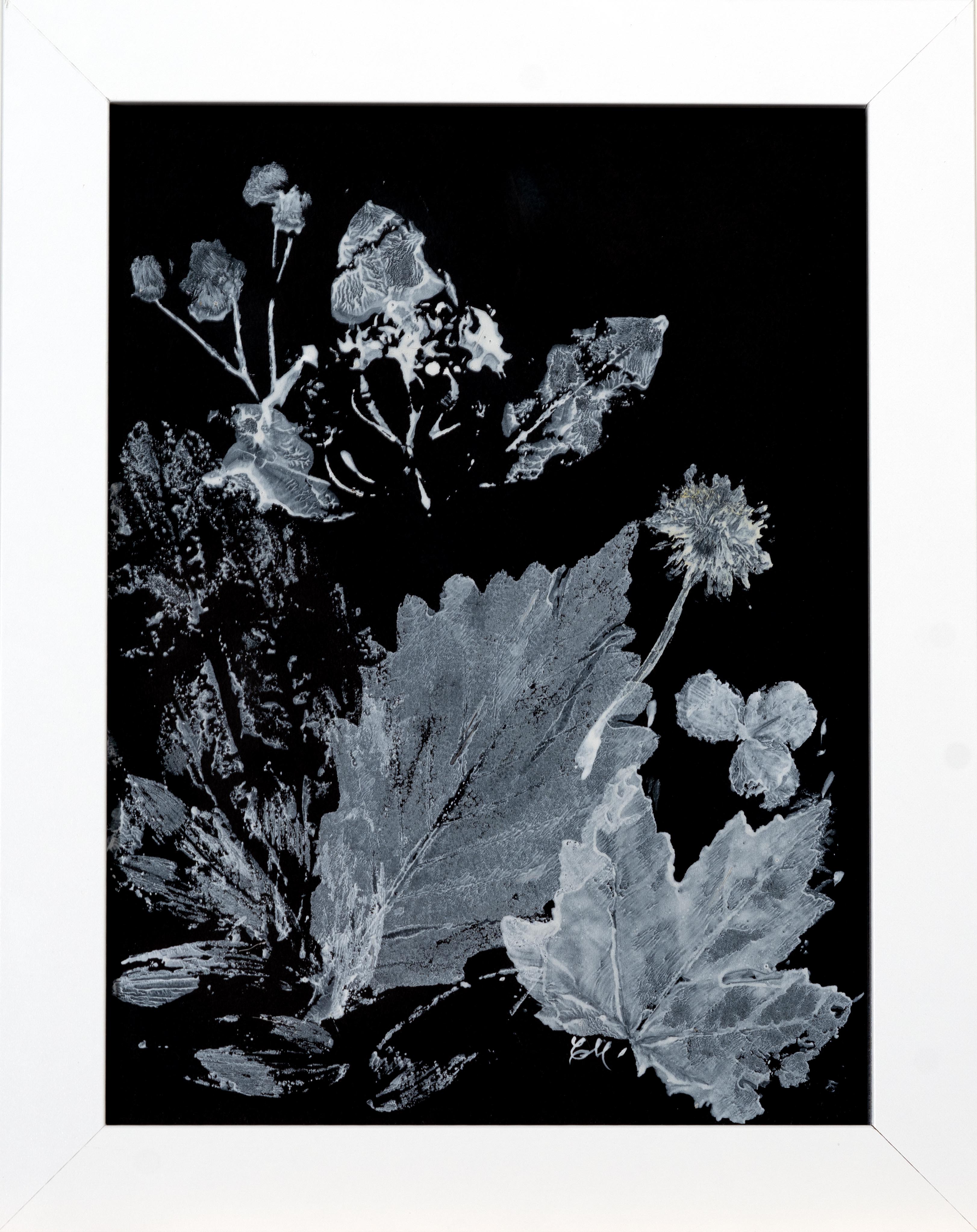 White ink and plants create an abstract piece