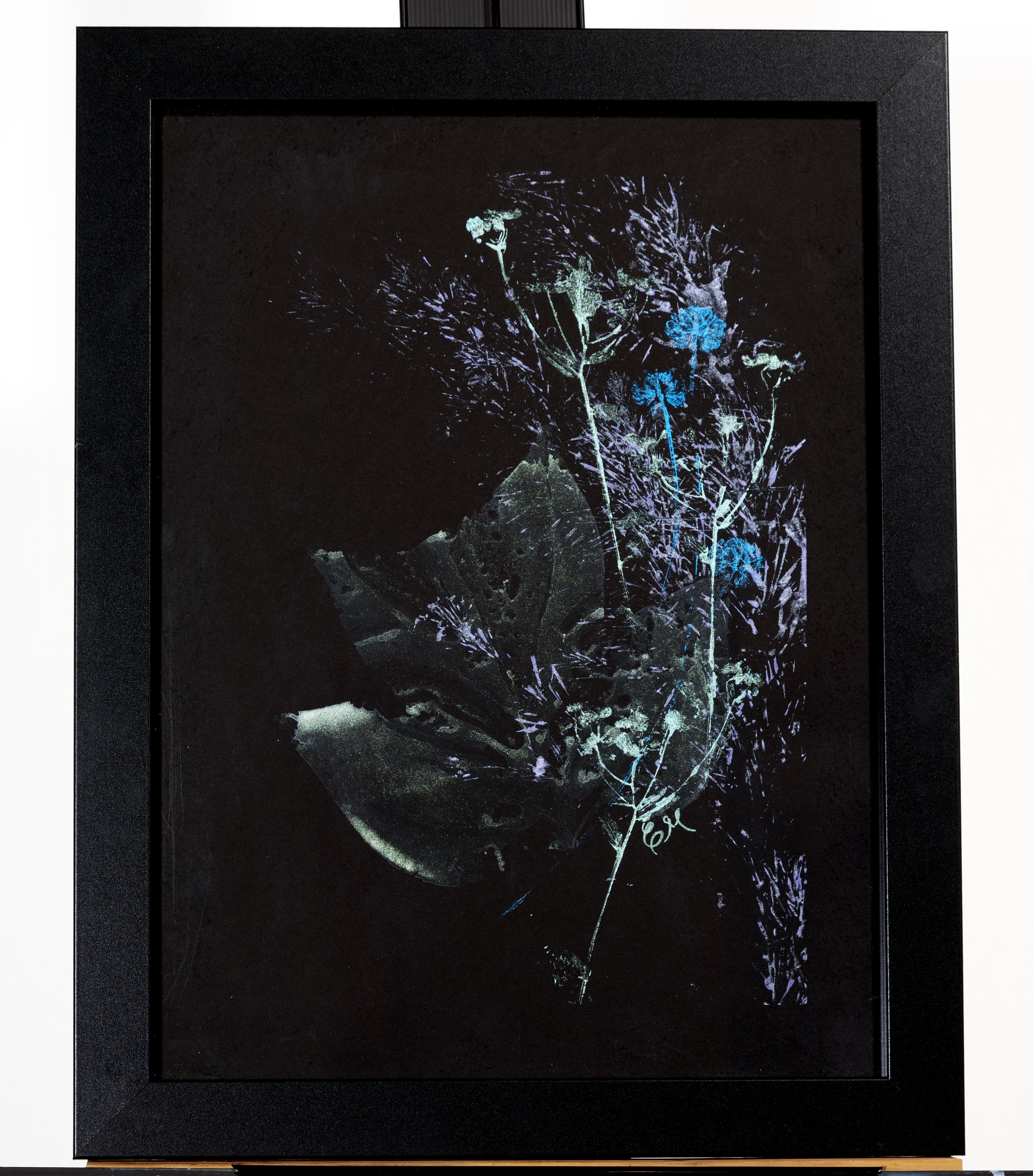 Shimmering water color plant markings on a black background